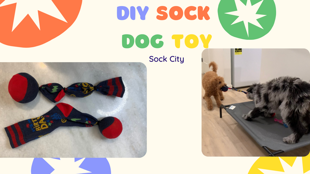 DIY Sock Dog Toy | Sock City