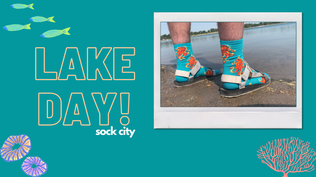 Let's go to the Lake | Sock City