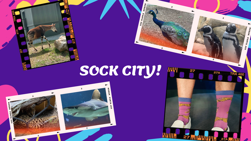 Sock City goes to the Science Center!