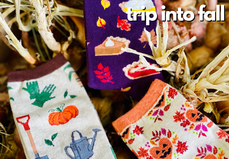 It’s Time for Your Fall Season Sock Order!