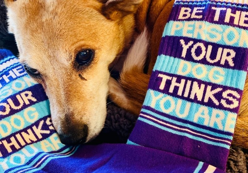 Animal Socks for Every Pet Lover