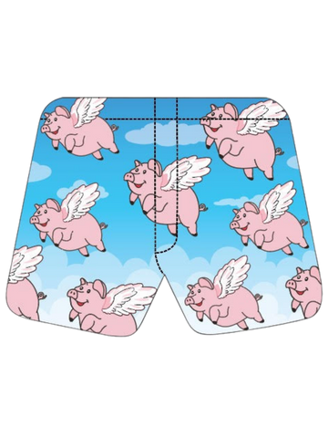 Magic Flying Pig Boxers