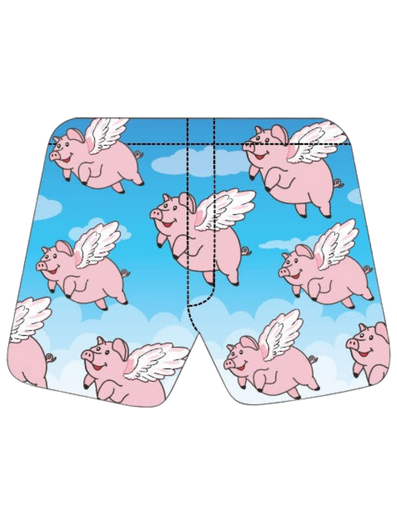 Magic Flying Pig Boxers